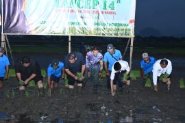 Kementan RI apresiasi sistem tanam cepat pertanian di Trenggalek