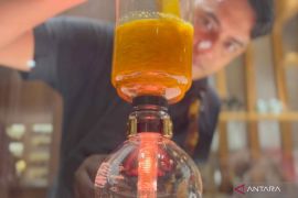 Musim hujan, ini jenis herbal yang dapat tingkatkan imunitas