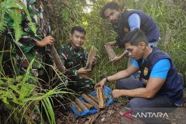 Bea Cukai sita kayu gaharu di jalan tikus perbatasan RI-Malaysia