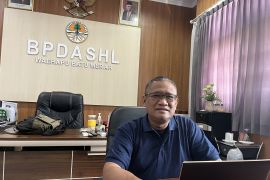 BPDAS Waehapu Batu Merah Ambon sediakan 500 ribu bibit pohon gratis bagi masyarakat