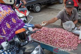 Harga bawang merah di Palu mulai turun Page 1 Small