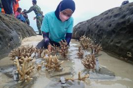 Pecinta lingkungan lakukan konservasi alam di Natuna