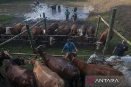 Kalteng tingkatkan kapasitas Juleha dukung kemajuan UMKM