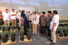 BI Jambi bantu rumah tanaman Infratani kepada tiga ponpes