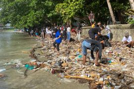 Komunitas The Mulung kumpulkan sampah 860 kilogram di Pantai Latuhalat Ambon