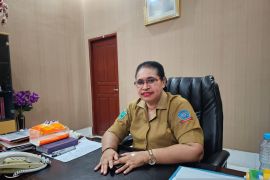 1.186 pelamar CPNS di Sorsel gugur verifikasi dokumen