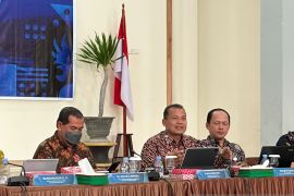 Penerimaan kepabeanan dan cukai di Sulteng Rp578,39 miliar