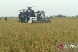 Purwakarta siapkan langkah strategis pencapaian target produksi padi tahun ini