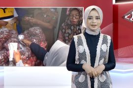 Larangan impor bawang merah hingga skema mutasi pengisian ASN di IKN