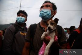 Evakuasi warga terdampak erupsi Gunung Ruang Page 2 Small