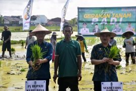 Kubu Raya lakukan gerakan tanam padi seluas 23 Ha