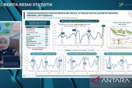 BPS: Bawang merah jadi komoditas pangan dengan inflasi tertinggi