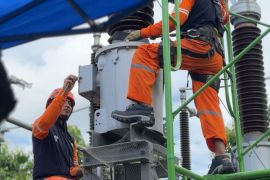 PLN UIT JBM perkuat keandalan GI 150kV Banyuwangi jelang WWF
