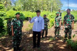 PLN UIW  MMU-PPAD monitoring program rehabilitasi lahan kritis