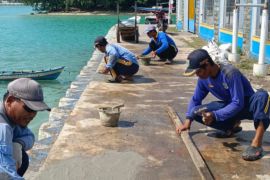 Kabupaten Kepulauan Seribu rawat tanggul jalan lingkar Pulau Kelapa