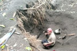 PLN dan BKSDA lestarikan burung maleo di KPHK Tangkoko