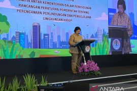 Sustainability requires environmental protection planning: Minister