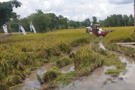 Korem 044 Gapo kerahkan prajurit optimalisasii lahan rawa Sumsel