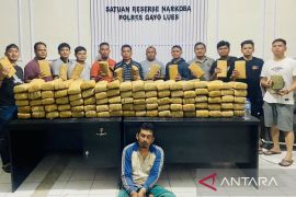 Polres Gayo Lues amankan 190 kg ganja dan tangkap seorang pelaku