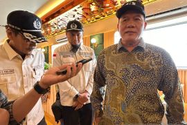 BHS apresiasi pemangkasan status Bandara Internasional di Tanah Air