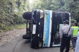 Lima orang terluka akibat bus terguling di Balekambang