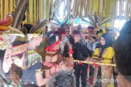 Pentas seni Dayak Borneo jadi sarana untuk saksikan kekayaan budaya