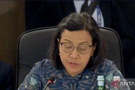 Perlu mobilisasi triliunan dolar AS atasi perubahan iklim