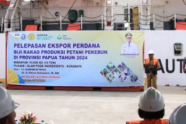 Papua kirim 10 ton biji kakao melalui Pelabuhan Jayapura