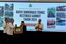 BRGM: Jambi jadi referensi upaya restorasi lahan gambut nasional