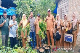 Sembilan kelompok tani di Madina dapat bantuan bibit buah