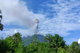 Gunung Ile Lewotolok di NTT erupsi setinggi 900 meter