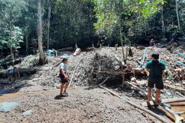 TNBKDS Kapuas Hulu segera menertibkan penambangan emas di taman nasional