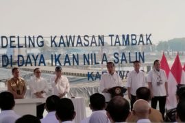 Jokowi: Tambak tak dimanfaatkan bisa dikembangkan budidaya ikan nila