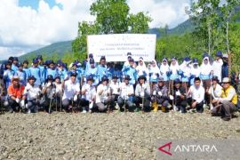 Kalsel kemarin, dari smart city hingga tanam 7.000 bibit mangrove