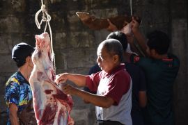 Pakar: Jangan sampai mikroba tumbuh dalam daging kurban
