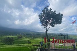 Jatiluwih bersolek sambut delegasi World Water Forum Ke-10 Bali