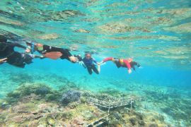 Kemala Bhayangkari Klungkung lestarikan terumbu karang di Nusa Penida