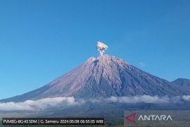 Gunung Semeru kembali erupsi