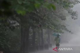 Wilayah Kalsel berpotensi hujan petir pada siang hari ini