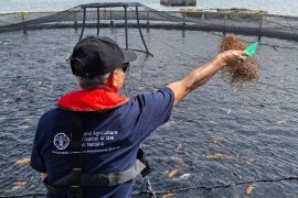 FAO-IPB kunjungi Sumut pantau  penerapan ekonomi biru