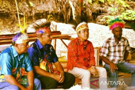 Biak berpotensi jadi pemasok ikan tuna dukung program makan gratis