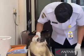 Disnak Kaltim optimalkan klinik mendeteksi  penyakit pada hewan