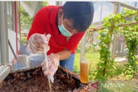 Lapas Narkotika-Disnaker Samarinda pertajam  budidaya madu bagi WBP