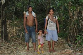 Kekuatan pangan dibalik rimba Dayak Pitap