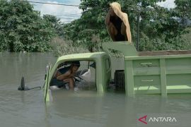 Kendaraan terjebak banjir di jalan Trans Sulawesi Page 2 Small