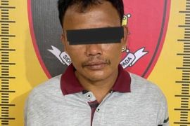 Polisi tangkap pencuri 300 ekor bebek di Serdang Bedagai