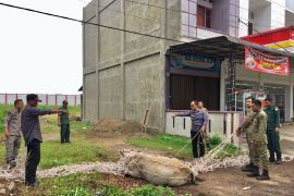 Satpol PP dan WH ingatkan peternak tidak lepasliarkan ternak