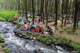 Potensi wisata hutan pinus di Lumajang