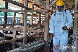 DPKP Tangerang awasi 664 lapak penjual hewan kurban