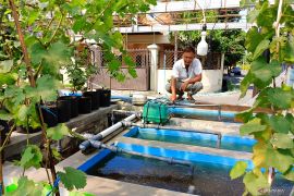 Ubah air selokan menjadi bersih